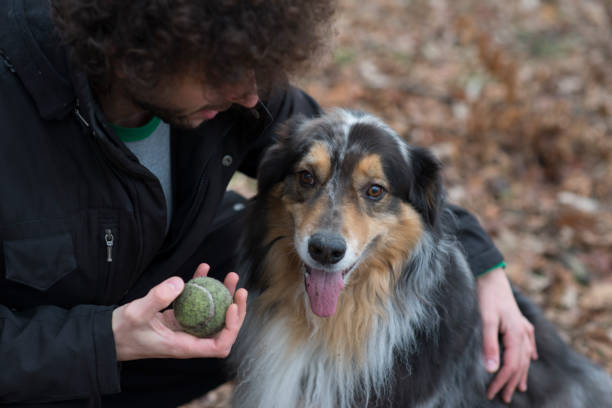 Pet Behavior Counseling